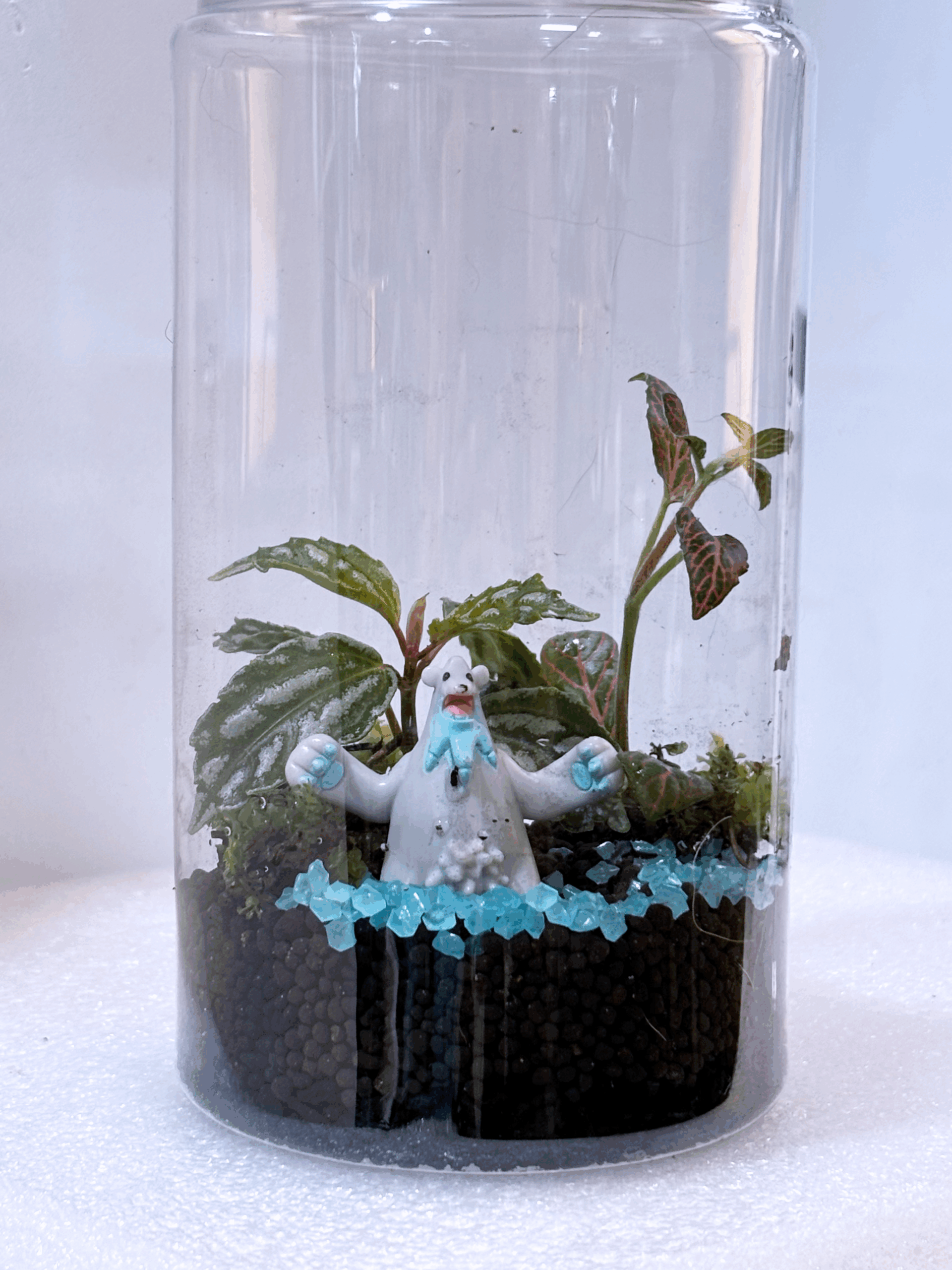 פינה ירוקה משלך: להתאהב בקסם של גינה זעירה